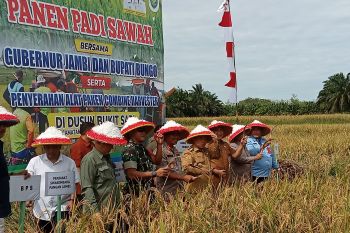 Gubernur: Jambi  berpotensi meningkatkan produksi padi signifikan