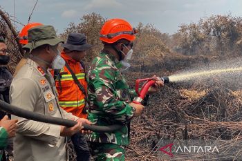 Pangdam I Bukit Barisan pastikan pemadaman karhutla di Rohil berjalan efektif