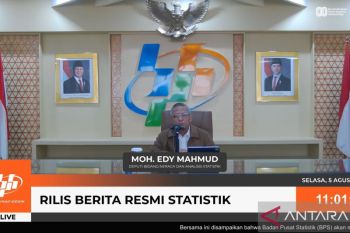 BPS: Jawa dan Sulawesi jadi wilayah dengan pertumbuhan tertinggi