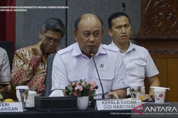 Free meals' budget absorption hits Rp7.9 trillion: BGN