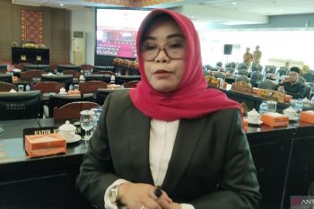 Dinkes Palembang bagikan Abate gratis untuk masyarakat guna tangani DBD