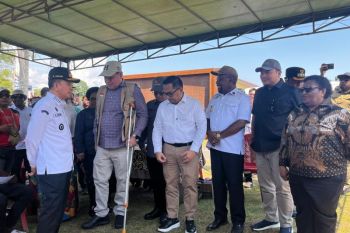 Wamendagri optimistis partisipasi pemilih PSU Papua meningkat