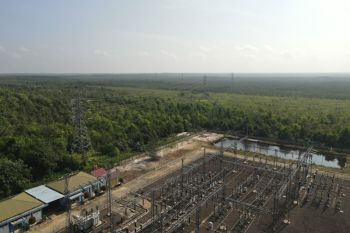 Interkoneksi SUTT Kendawangan - Sukamara jadi tulang punggung listrik andal di Kalbar dan Kalteg