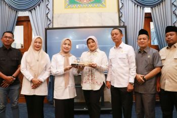 Anggota Komisi XI DPR perjuangkan dana bagi hasil untuk Pemkab Serang