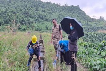 Sulbar tangani pencemaran limbah sawit