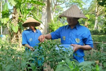 Ratusan warga binaan Lapas Selong Lotim diusulkan dapat remisi HUT RI 2025