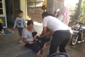 Tak semua gigitan anjing masuk kasus rabies, kata Kadinkes Mataram