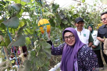 Wabup Tangerang dorong pembangunan pertanian modern