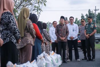 Bupati Jember tindak tegas pelaku peredaran beras tak sesuai takaran