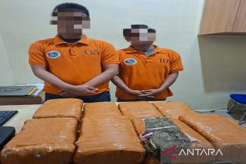 Polisi tangkap dua pengedar ganja 13 kilogram di Deli Serdang