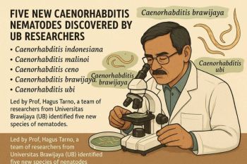 Dari Lereng Bromo ke Jurnal Oxford: UB temukan spesies cacing baru, sematkan nama lokal dan Indonesia di kancah dunia