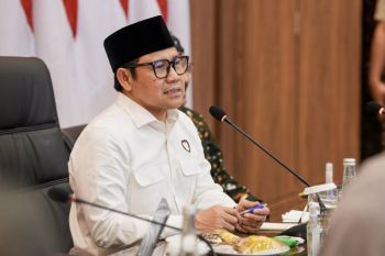 Menko Muhaimin tanggapi fenomena pengibaran bendera One Piece