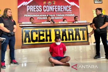 Polisi tangkap buruh bangunan pembunuh warga di Aceh Barat, korban dibunuh pakai besi linggis