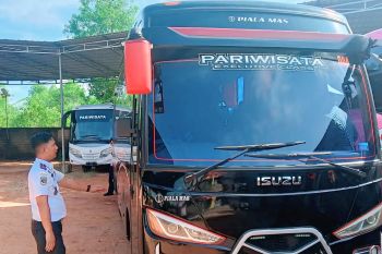 Dishub Tanjungpinang fokus pada reformasi sektor transportasi publik