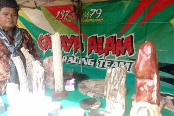 Kerajinan batu fosil Lebak Banten tembus pasar internasional