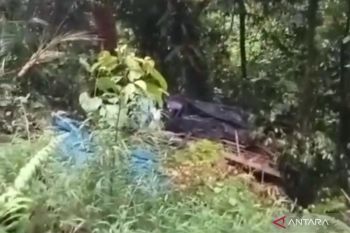 Sebuah truk L300 masuk jurang di Lurah Berangin Pasaman, supir berhasil selamat (Video)