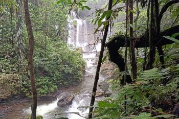 PT PLN bangun energi bersih di Kabupaten Supiori