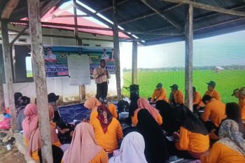Penyaluran dana desa di Pasaman Barat hingga Juli capai Rp59,7 miliar