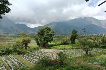 Kunjungan wisata alam Gunung Rinjani kembali dibuka pada 11 Agustus 2025