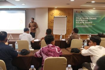 Tingkatkan keahlian budidaya dan pemetaan: PT RPN, BPDP dan Ditjenbun latih petani sawit Labusel