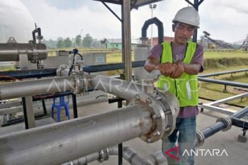 Kaltim garap transisi energi dari limbah sawit