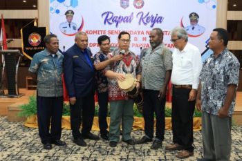 Pemprov Papua Selatan dorong regenerasi pelaku seni