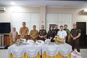 Kejati serahkan tengkorak Badak Jawa ke Museum Negeri Banten