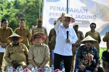 Menkop: KDMP motor penggerak ketahanan pangan dan kemajuan desa