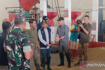 LPMDes Kabupaten Serang dukung program serap gabah pemerintah