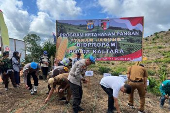 Polda Kaltara Dukung Ketahanan Pangan Dengan Menanam Jagung