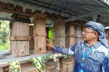 Memberdayakan masyarakat lewat "apartemen" lebah