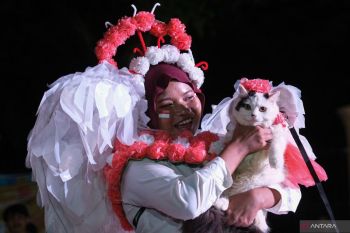 Pet Festival 2025 di Kendari