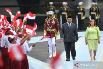 Presiden Prabowo perkuat kerja sama RI-Peru seiring 50 tahun hubungan