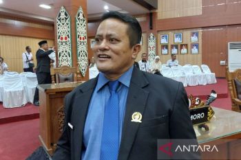 DPRD minta Wali Kota Palangka Raya segera definitifkan kepala OPD