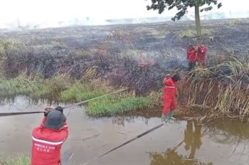 Balai Dalkarhut temukan kebakaran lahan di Kabupaten Ogan Ilir Sumsel