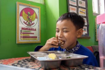 Wakil Ketua Komisi VI DPR tinjau pelaksanaan program MBG di Padang