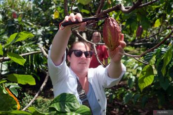 Kunjungan wisatawan di Desa Coklat Bali