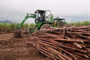 Akademisi-BI mendukung Dompu jadi pusat agroindustri tebu Indonesia Timur