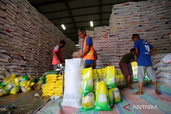 Pemkab Lampung Selatan sebut harga beras terkendali dan tidak lebihi HET