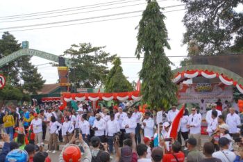 Gubernur Safanpo sebut karnaval bentuk ekspresi warga rayakan kemerdekaan RI