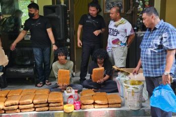 63 kilogram ganja kering diamankan di Kampus UIN Suska