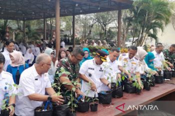 Banjarmasin galakkan program gemar makan ikan dan tanam cabai bagi masyarakat