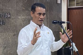 Soal beras oplosan, pemerintah menegaskan lindungi penggilingan kecil
