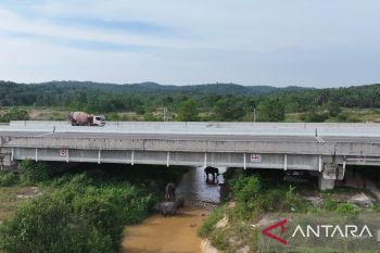 HK ciptakan alam dan perlintasan gajah hidup bersama manusia