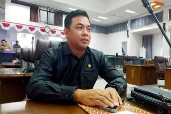 Anggota DPRD Barut apresiasi pemancangan tiang listrik masuk desa