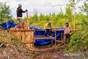 KPHP Kahayan Hilir bangun sekat kanal antisipasi karhutla