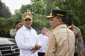 Gubernur Kalteng tinjau dua lokasi cetak sawah rakyat di Pulang Pisau