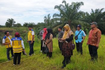 Pemkab Pasaman Barat dampingi tim survei lokasi pembangunan SPPG