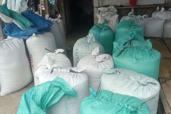 Pelaku usaha penggilingan padi di Lebak tampung gabah Rp7.500 per kg