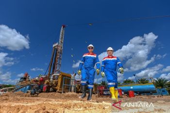 Bakteri penyelamat bumi: kisah pemulihan tanah